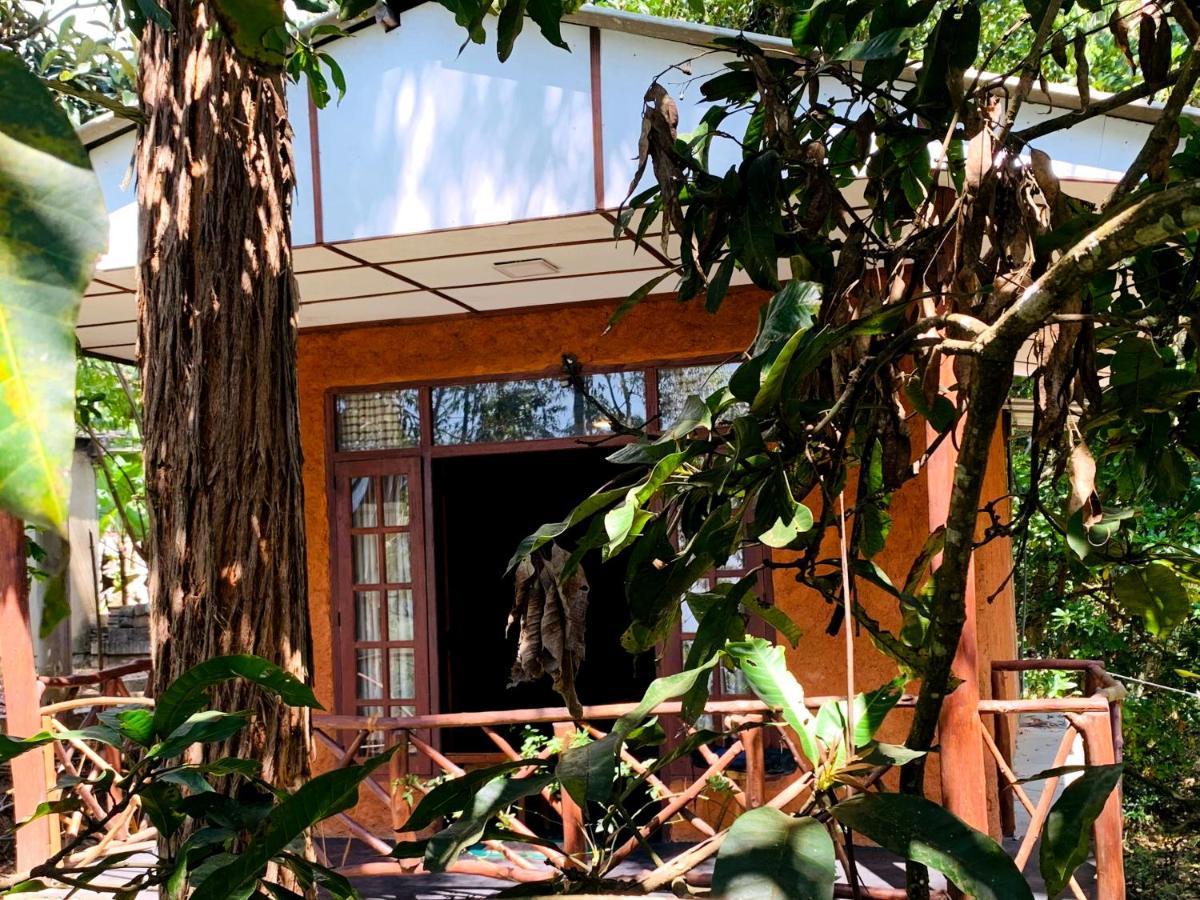 The Nirwana Cottage Ella Exterior foto